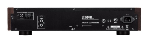 Yamaha T-S1000
